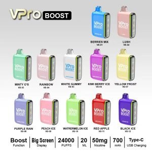 Vpro Boost 24K Puff Disposable E Cigarettes Vape